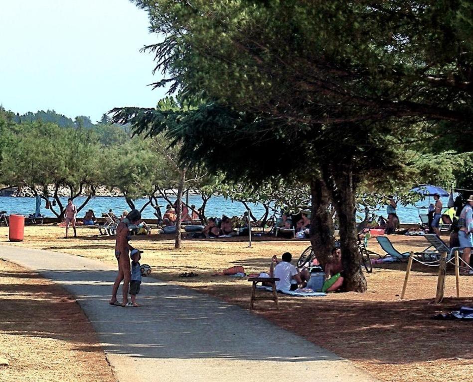 Apartman Ema Novigrad Istria Buitenkant foto
